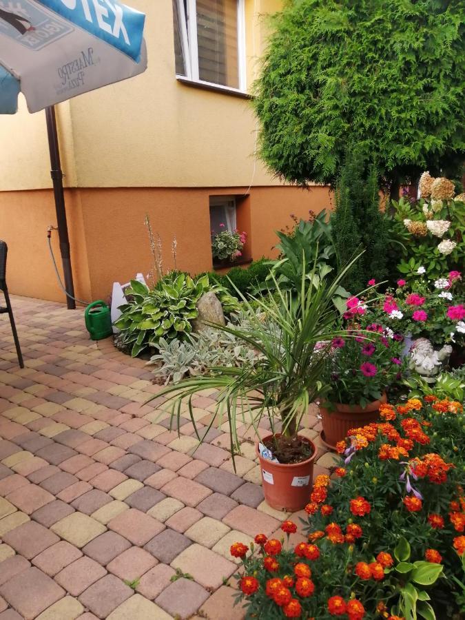 Apartmán U Eli I Jurka Sztutowo Exteriér fotografie